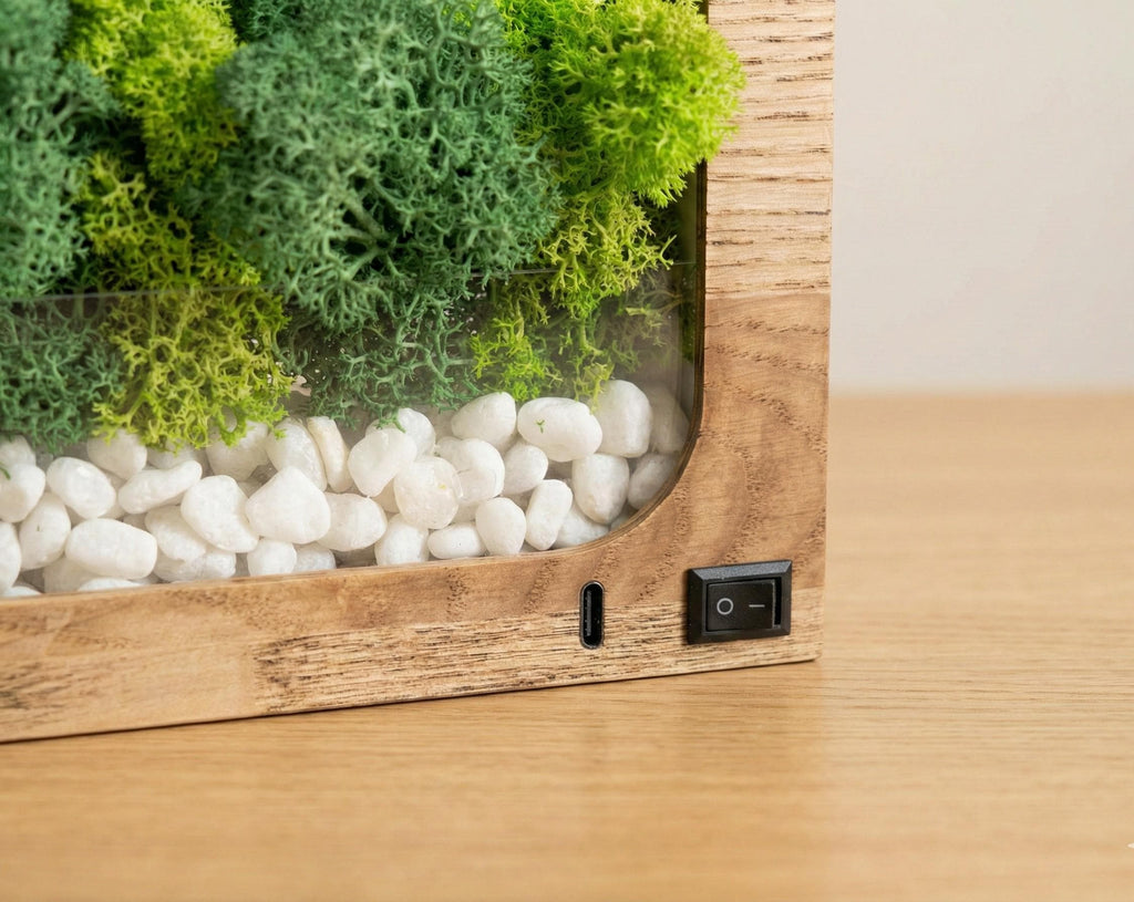 Wooden Moss Desk Lamp