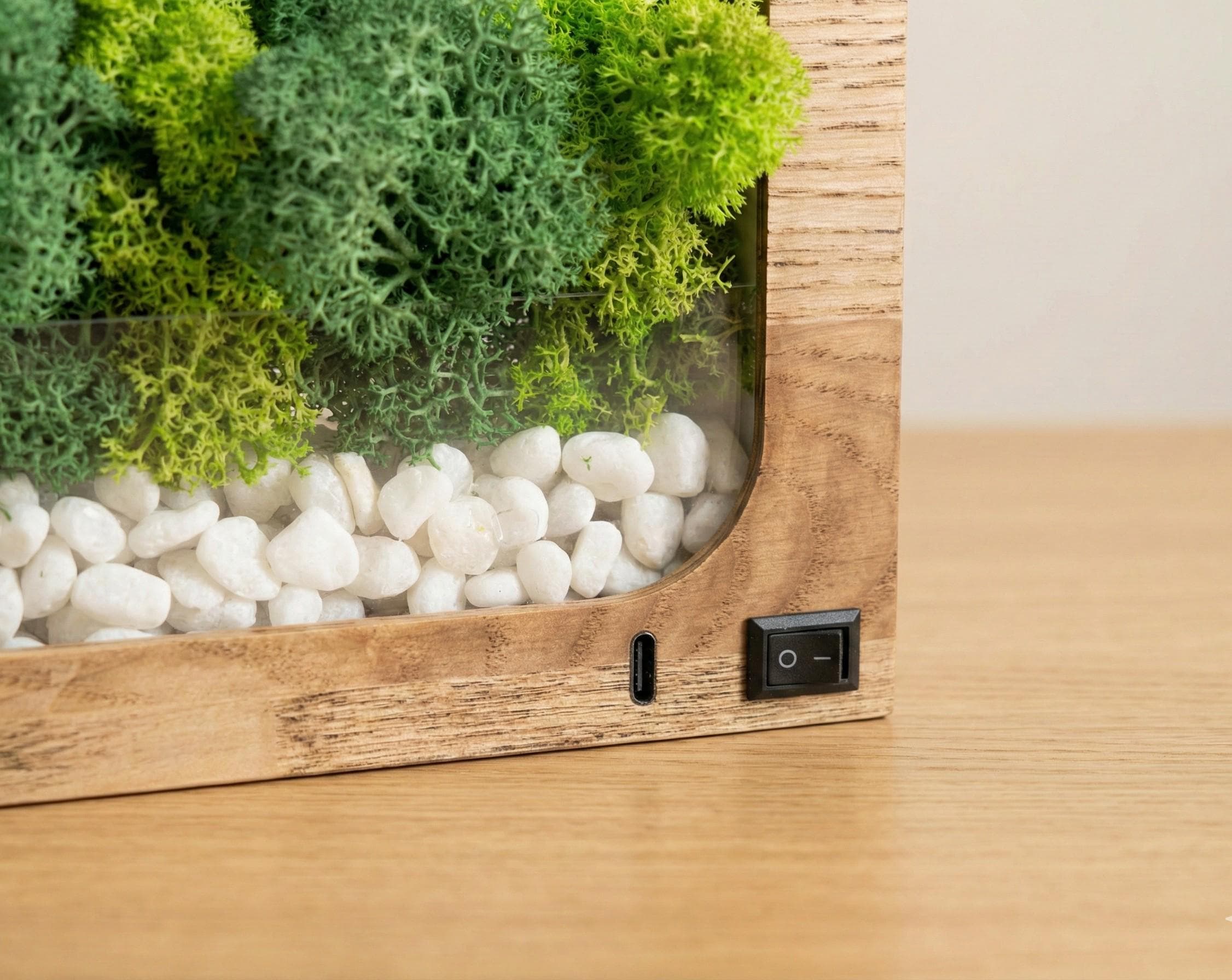 Wooden Moss Desk Lamp