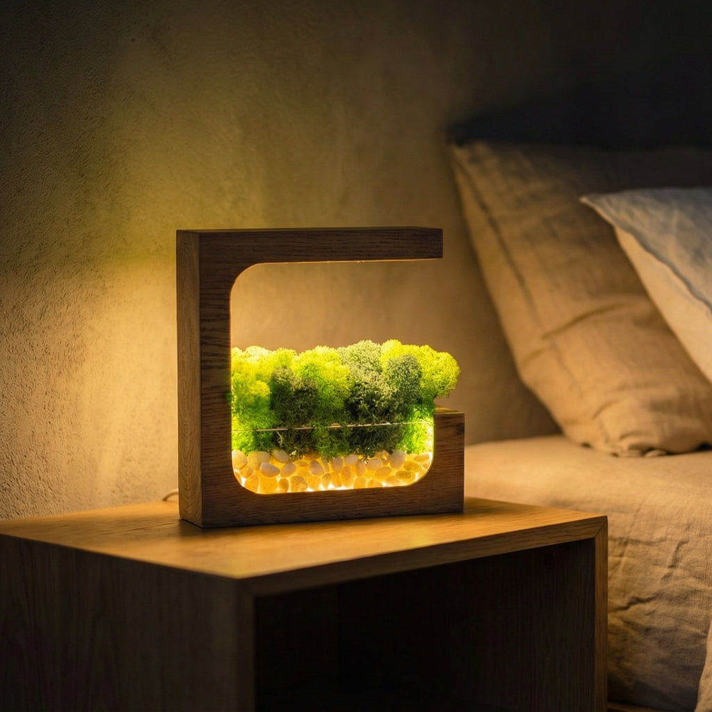 Wooden Moss Desk Lamp