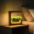 Wooden Moss Desk Lamp
