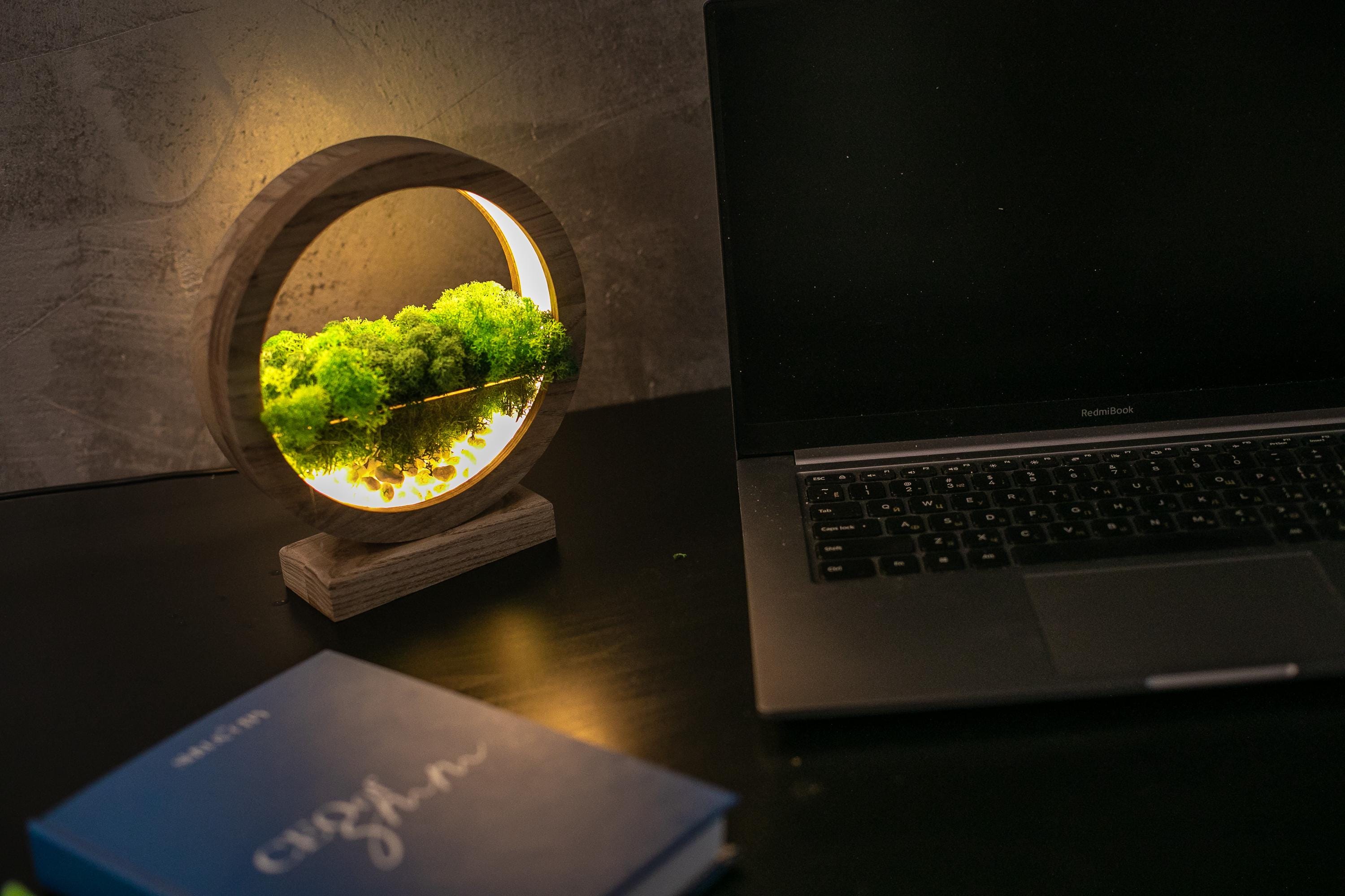 Round Wood Table Lamp with Preserved Moss |  Scandinavian Night Light | Biophilic Decor