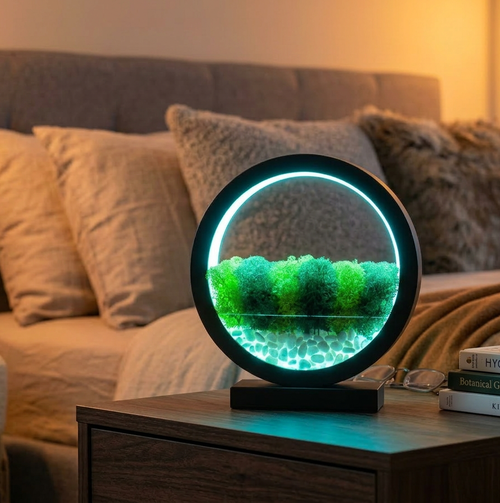 Blue LED Moss Terrarium Lamp | Zen Wood Circle Light
