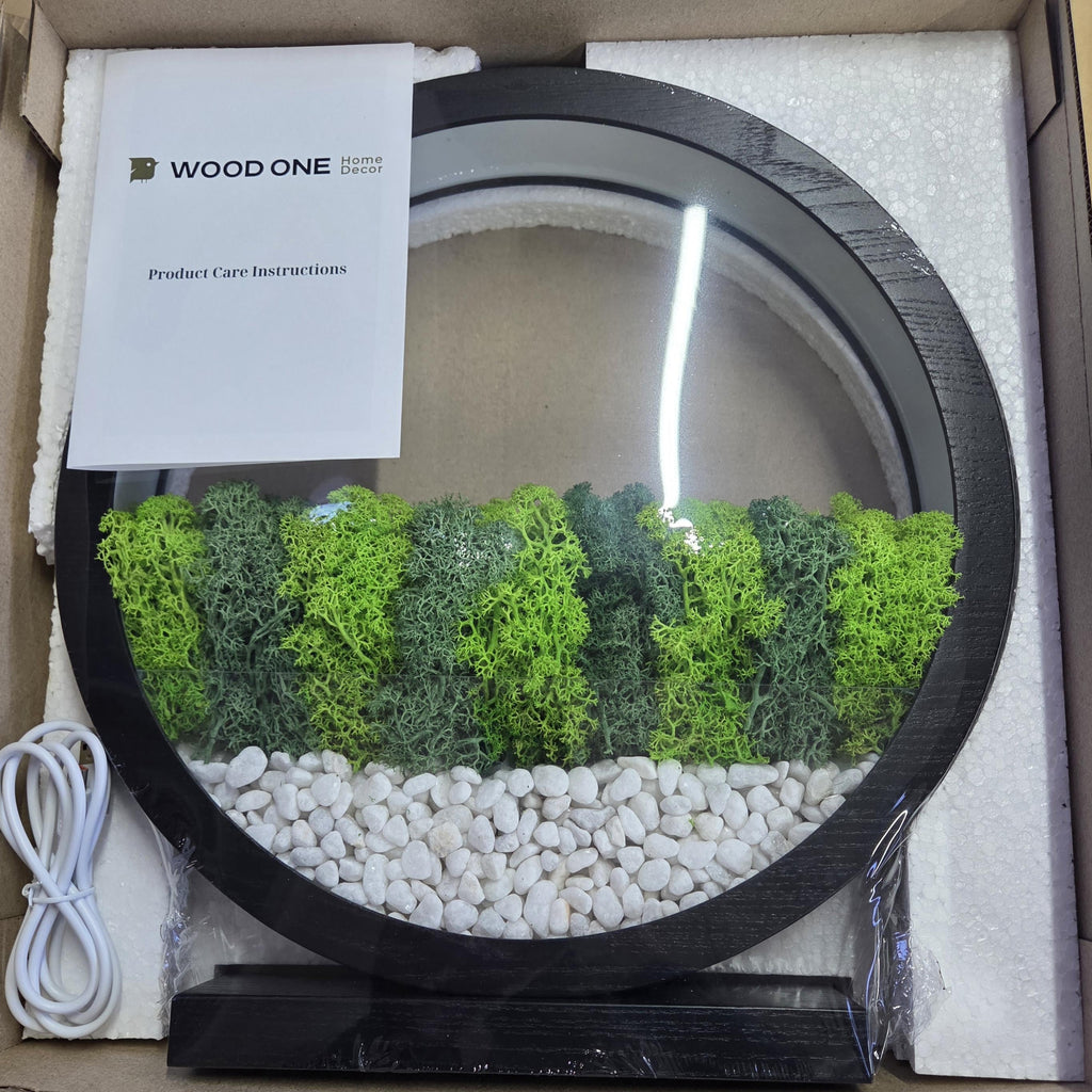 Blue LED Moss Terrarium Lamp | Zen Wood Circle Light