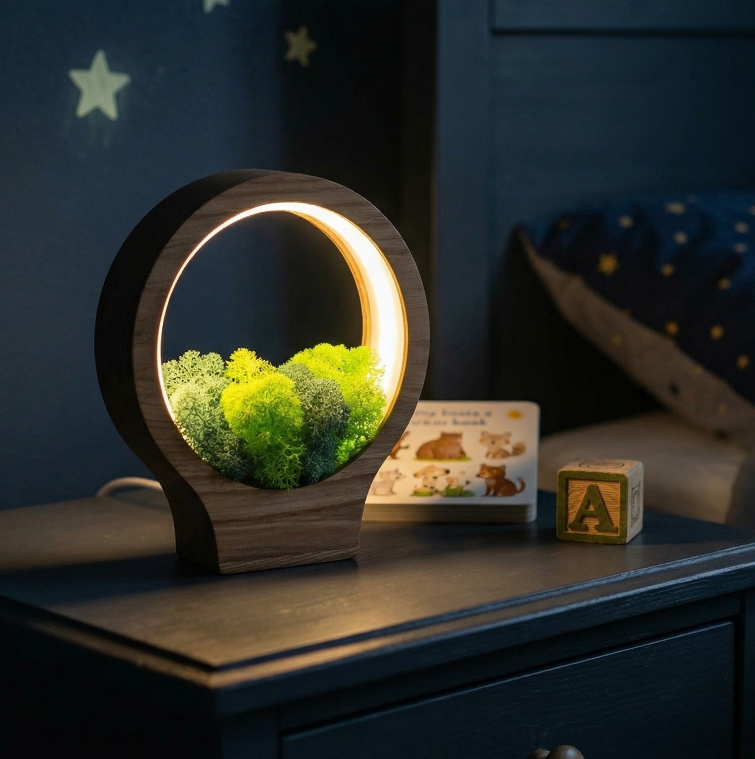 Wooden Moss Night Light | Handmade Terrarium Desk Lamp (USB-C Powered)
