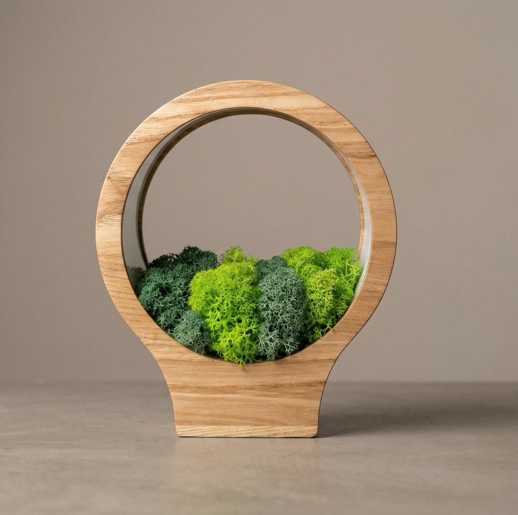 Wooden Moss Night Light | Handmade Terrarium Desk Lamp (USB-C Powered)