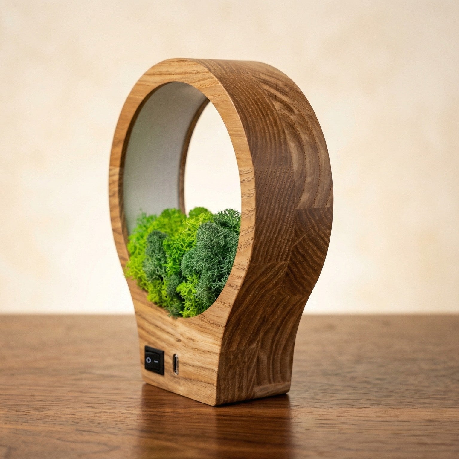 Wooden Moss Night Light | Handmade Terrarium Desk Lamp (USB-C Powered)