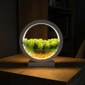 White Wooden Night Light with Moss