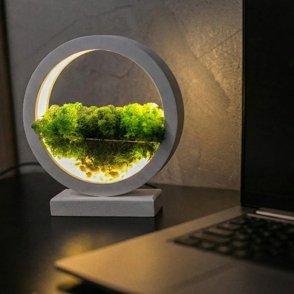 White Wooden Night Light with Moss