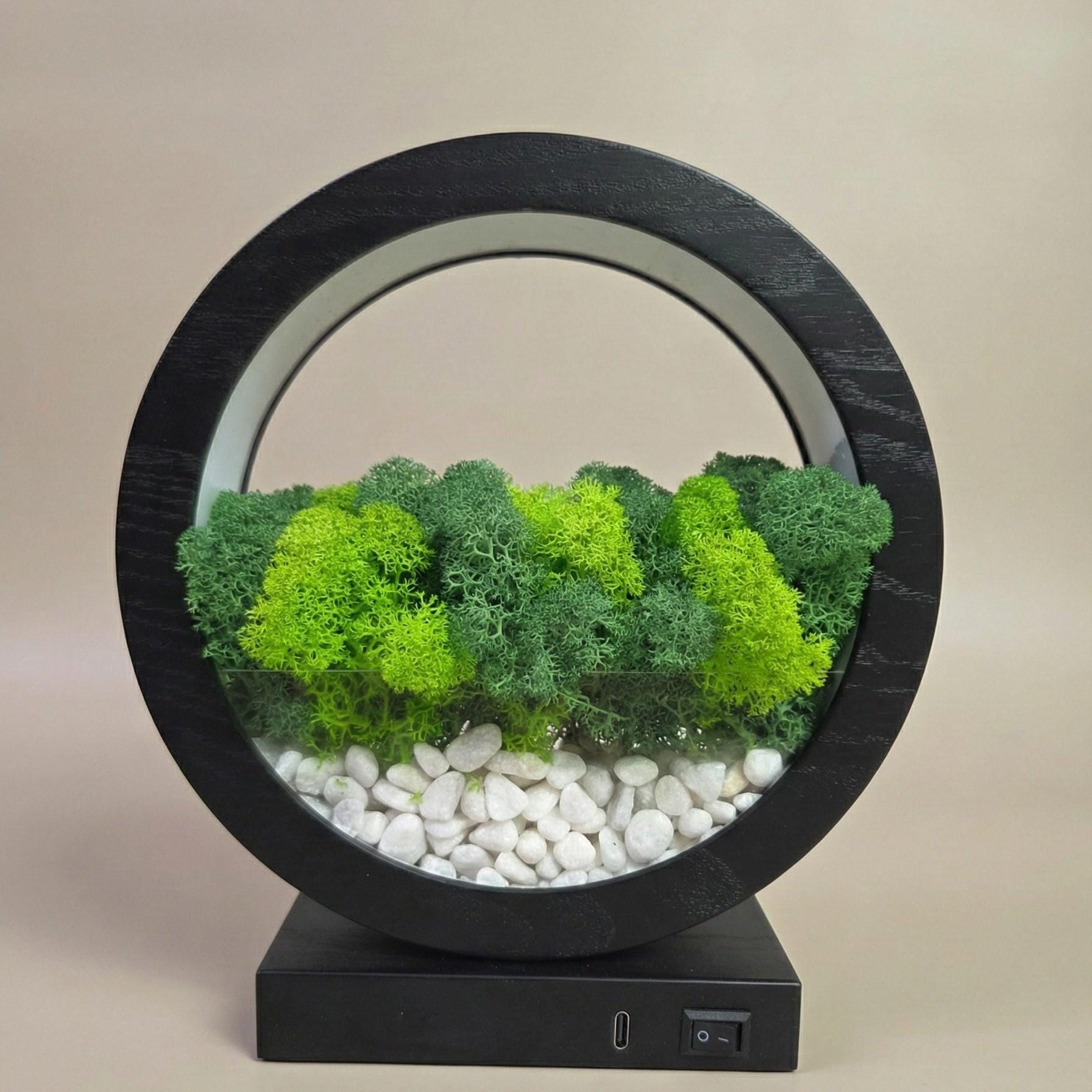 Blue LED Moss Terrarium Lamp | Zen Wood Circle Light