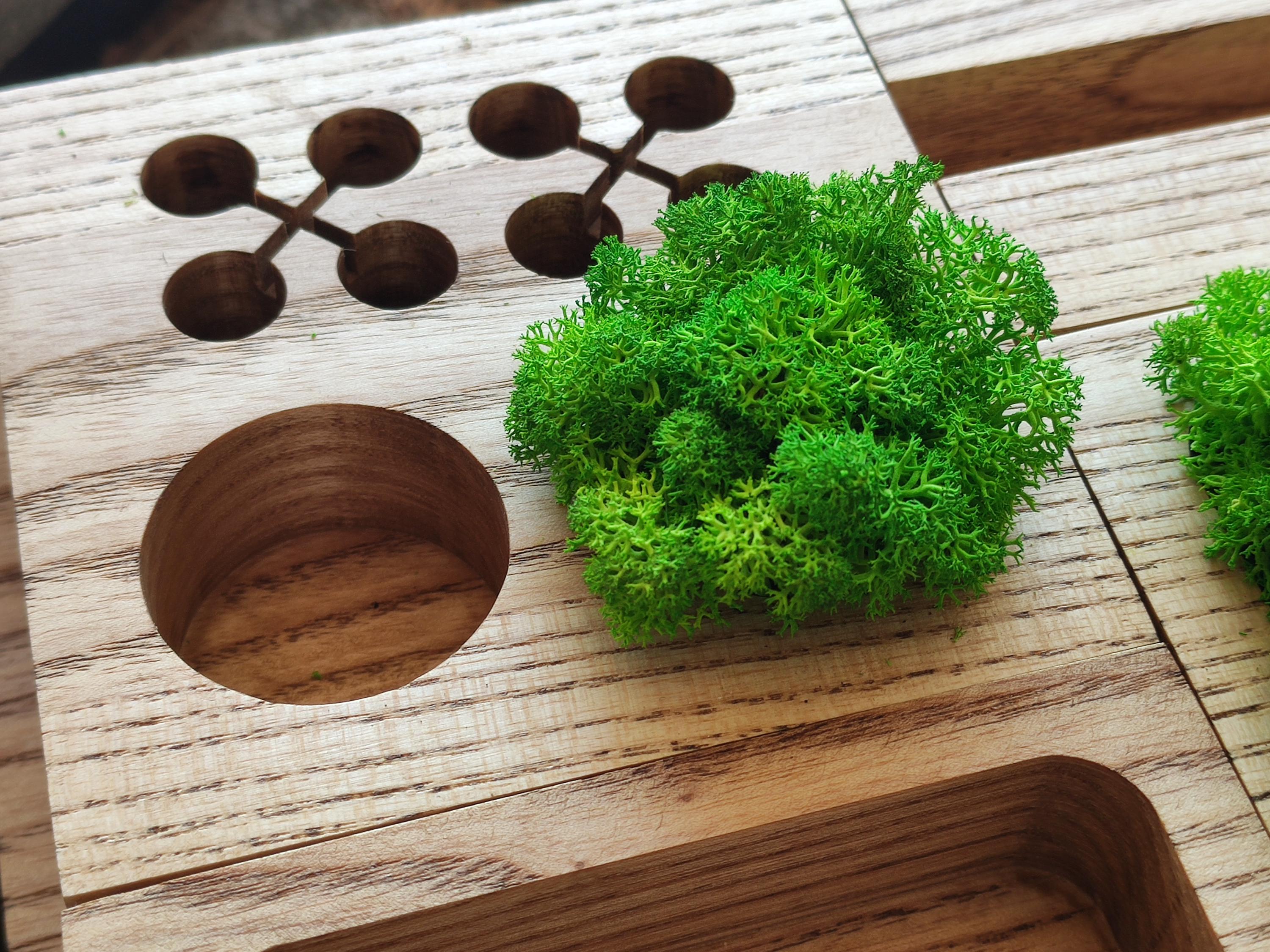 Large Modular 6-Piece Desk Organizer | Ash Wood & Moss