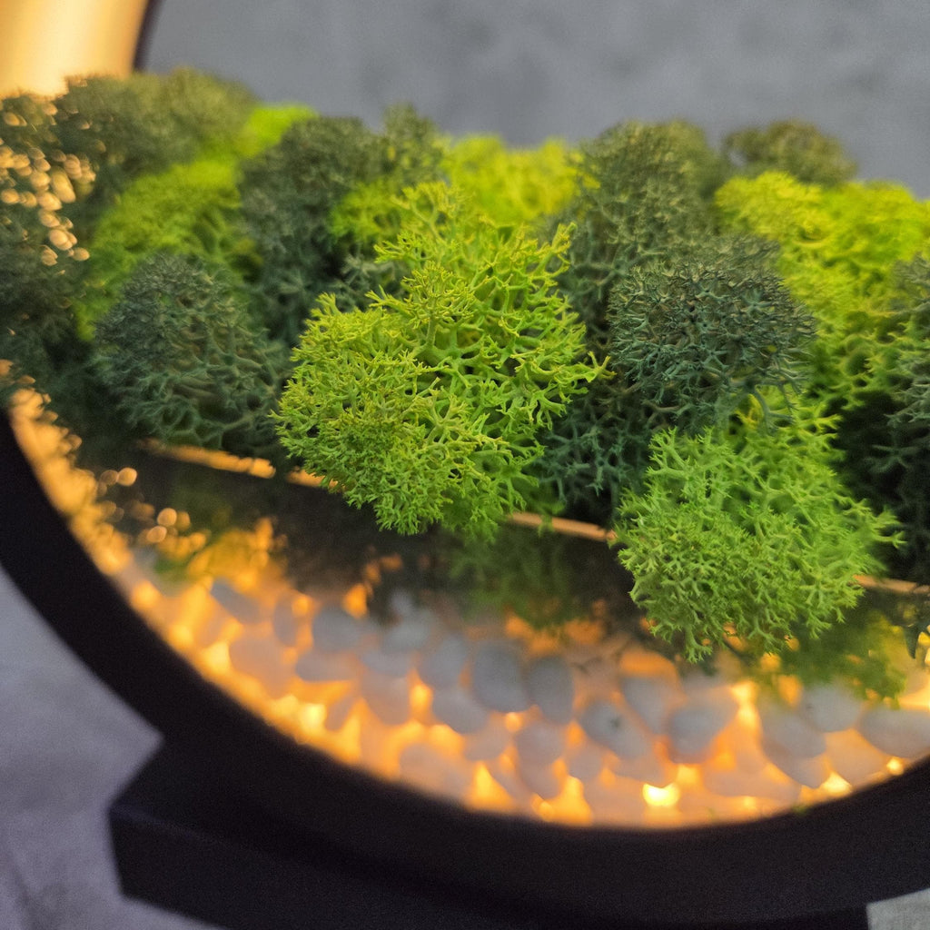 Black Wooden Table Lamp with Preserved Moss