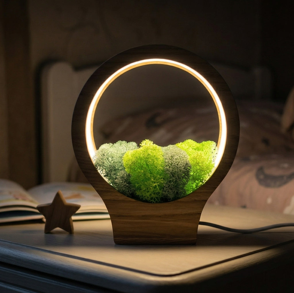 Wooden Moss Night Light | Handmade Terrarium Desk Lamp (USB-C Powered)
