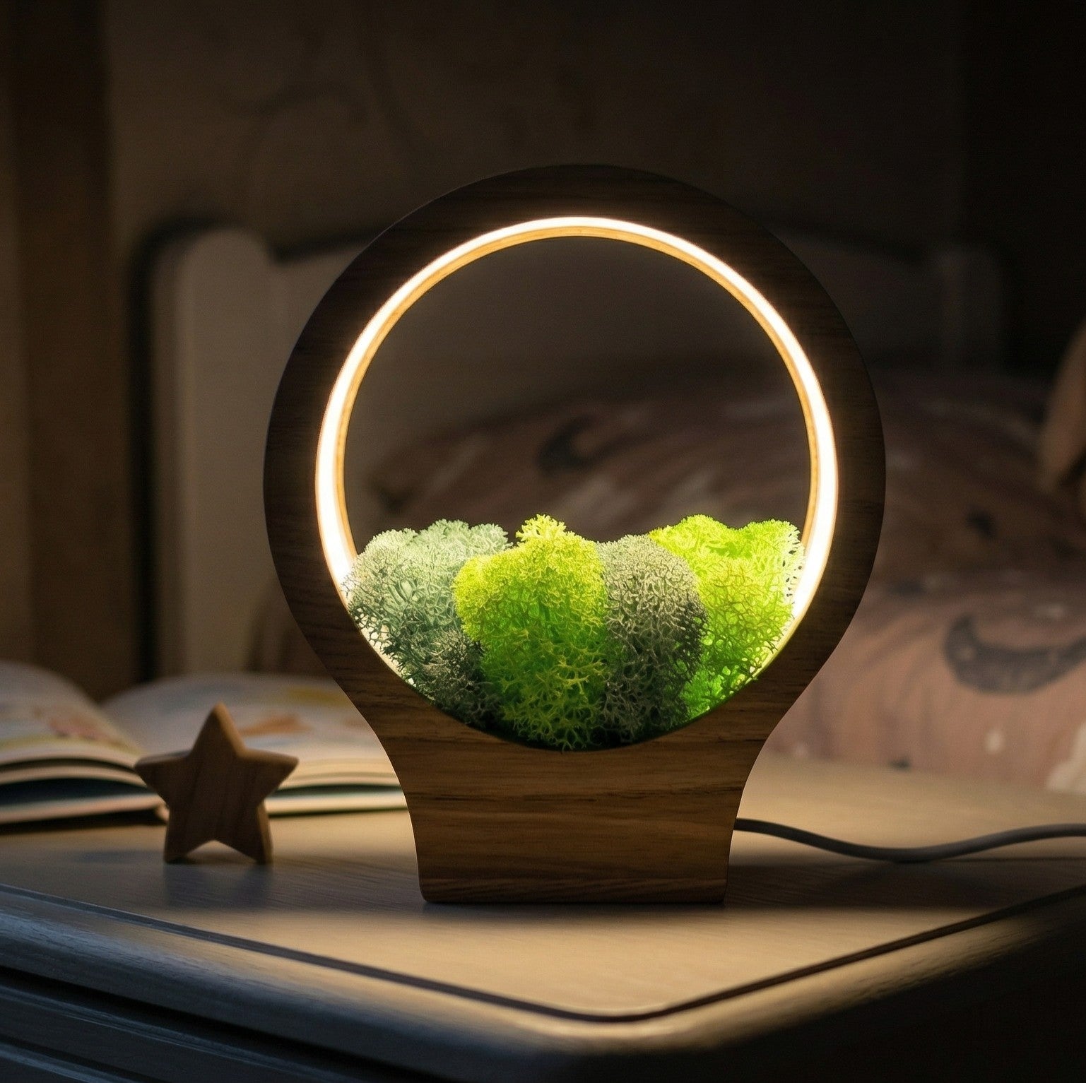 Wooden Moss Night Light | Handmade Terrarium Desk Lamp (USB-C Powered)