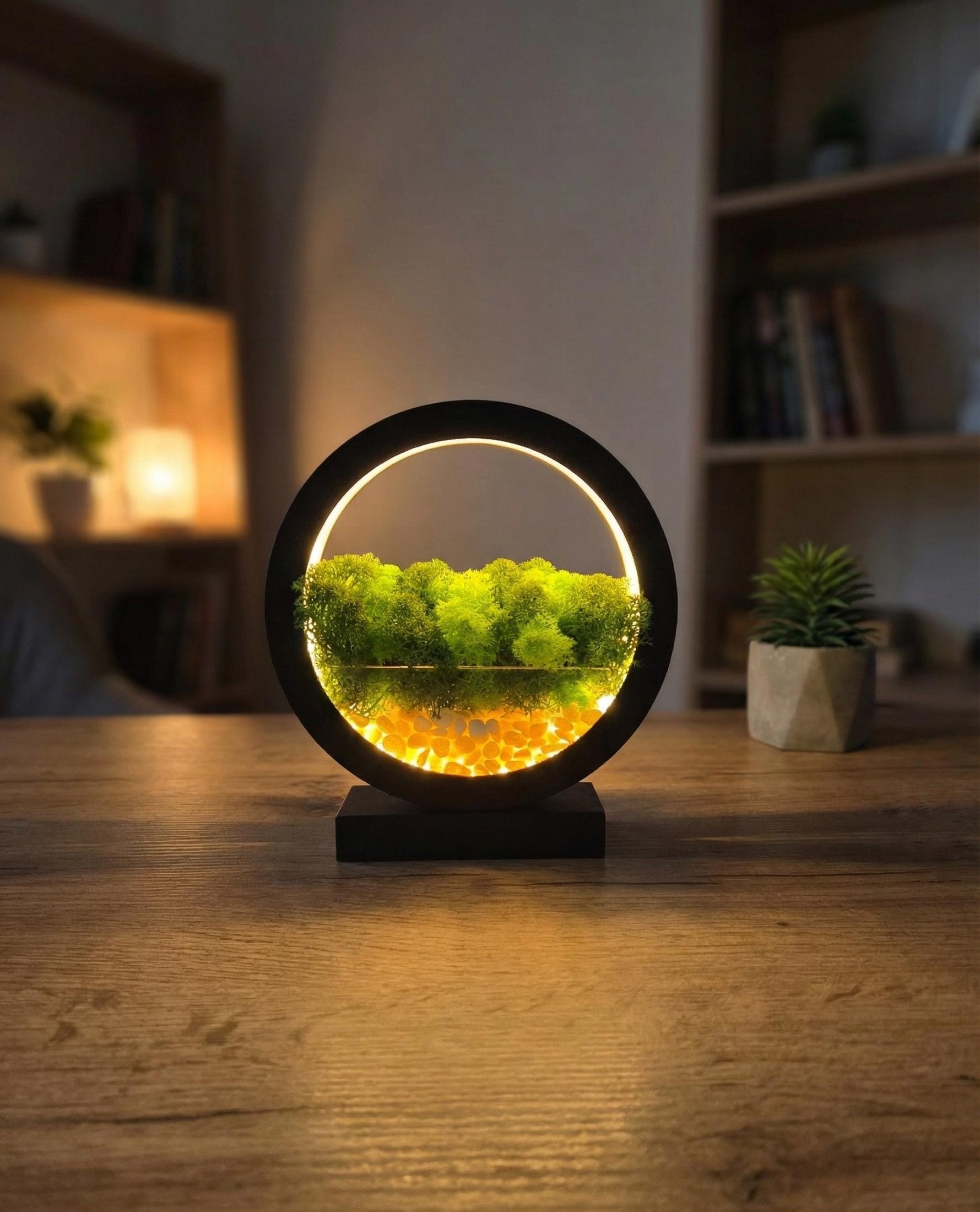 Wooden Table Lamp with Preserved Moss | Terrarium Night Light | Scandinavian Home Decor Lighting