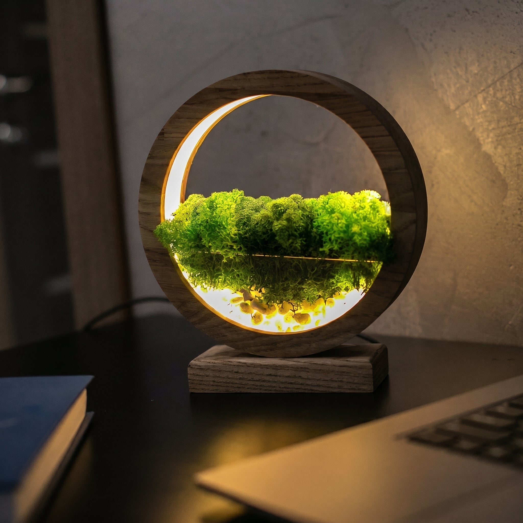 Black Wooden Table Lamp with Preserved Moss