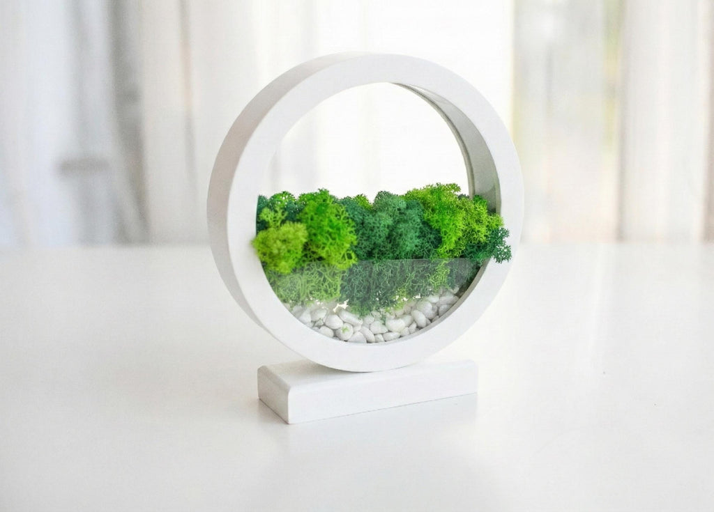 White Wooden Night Light with Moss