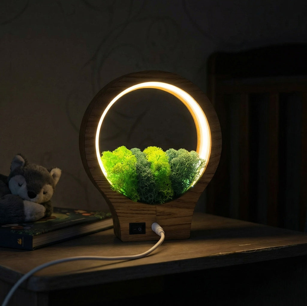 Wooden Moss Night Light | Handmade Terrarium Desk Lamp (USB-C Powered)