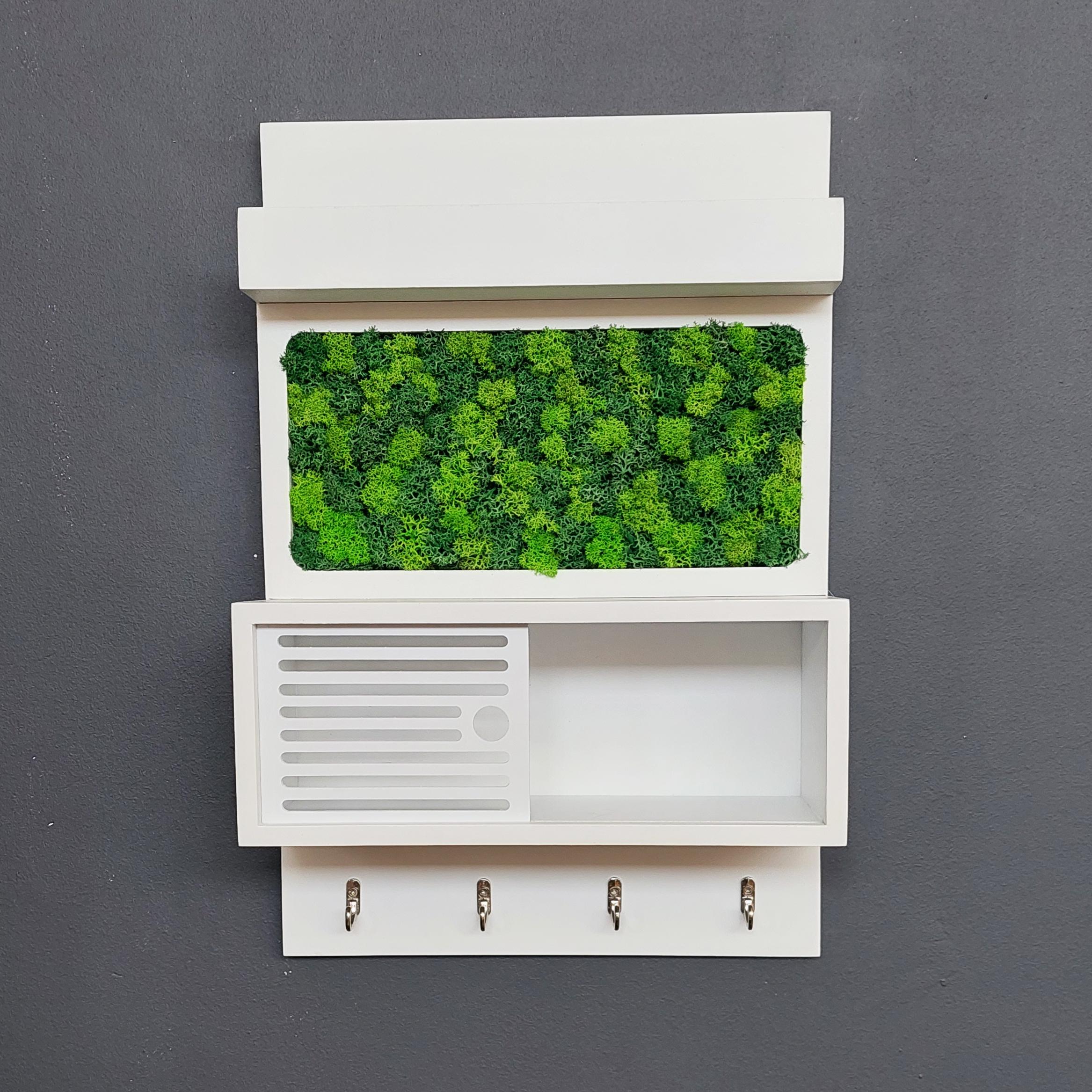 Moss Wall Key Holder with Shelf | Modern Entryway Organizer | Eco Friendly Home Decor