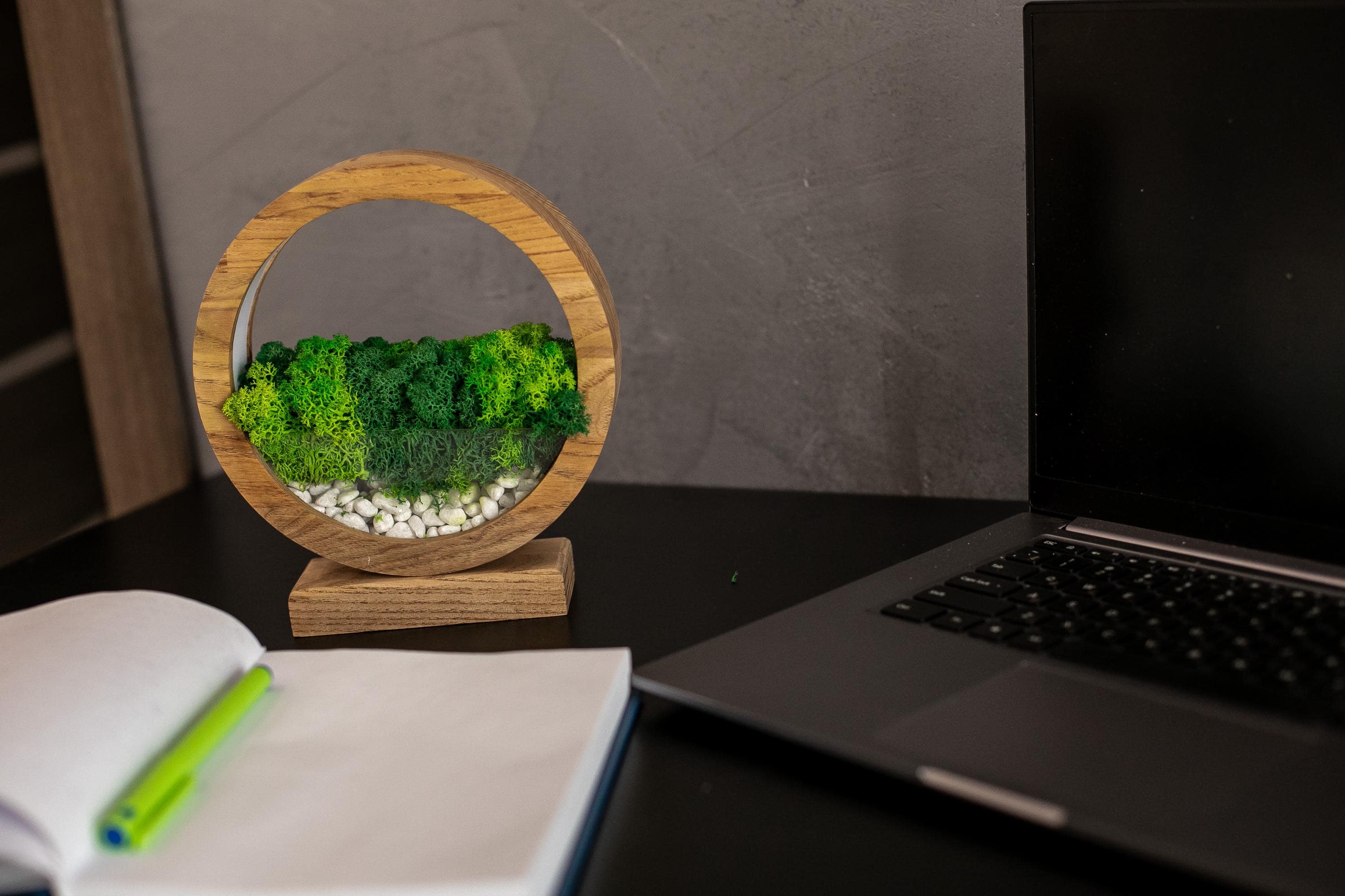 Round Wood Table Lamp with Preserved Moss |  Scandinavian Night Light | Biophilic Decor