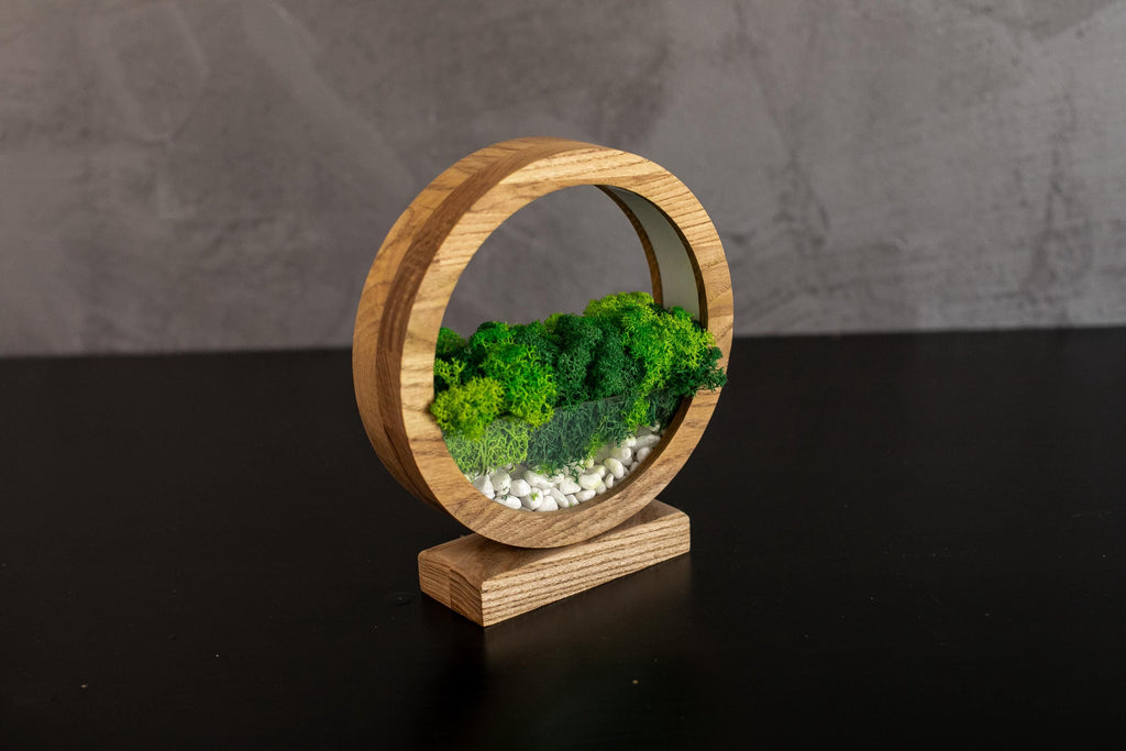Round Wood Moss Lamp | Botanical Night Light
