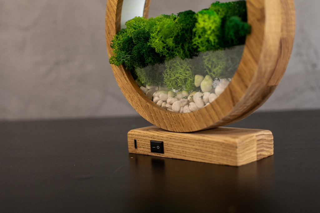 Round Wood Moss Lamp | Botanical Night Light