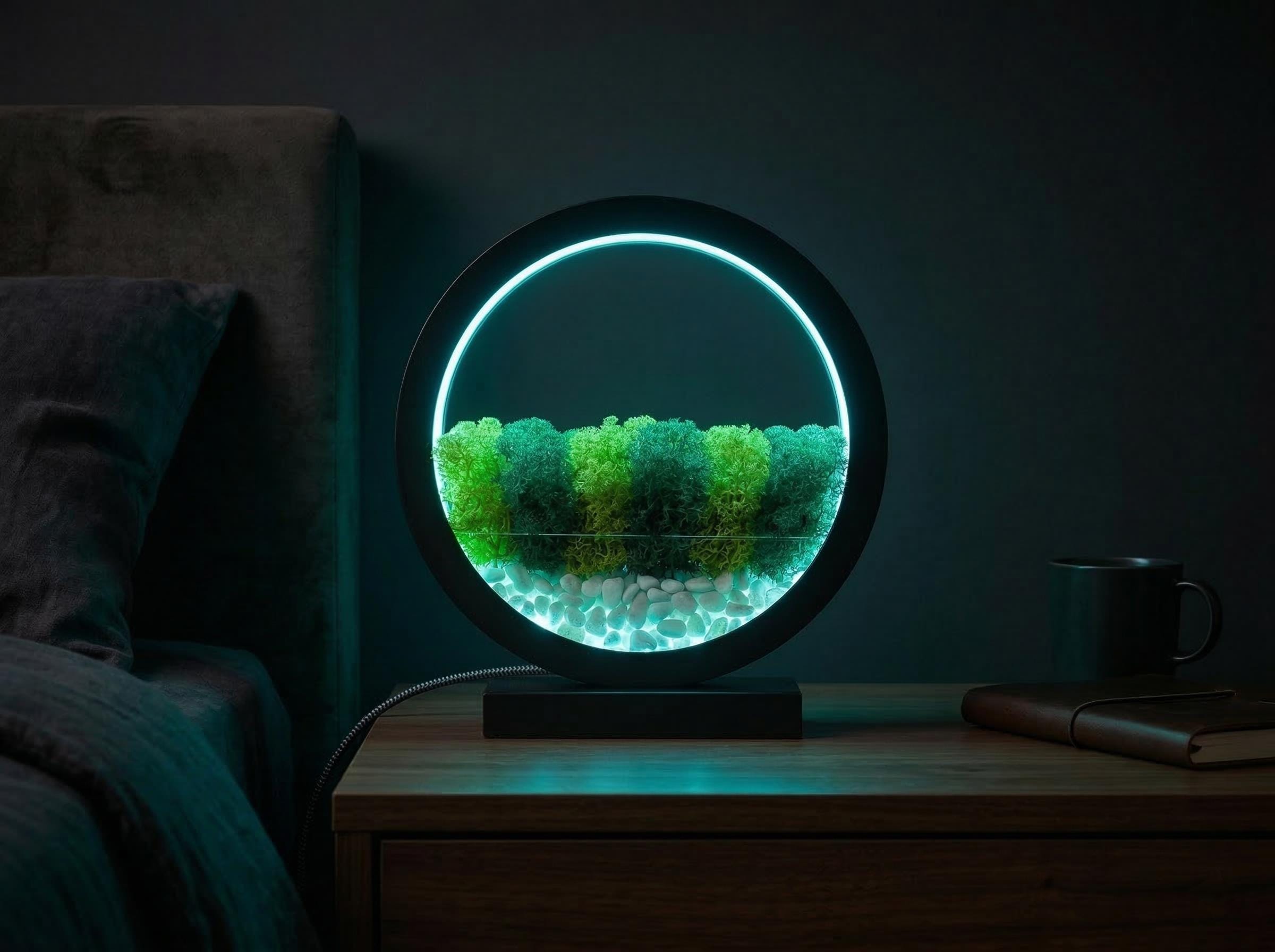 Moss Terrarium Lamp, Blue LED Wood Circle Light, Biophilic Botanical Decor, Zen Nightlight