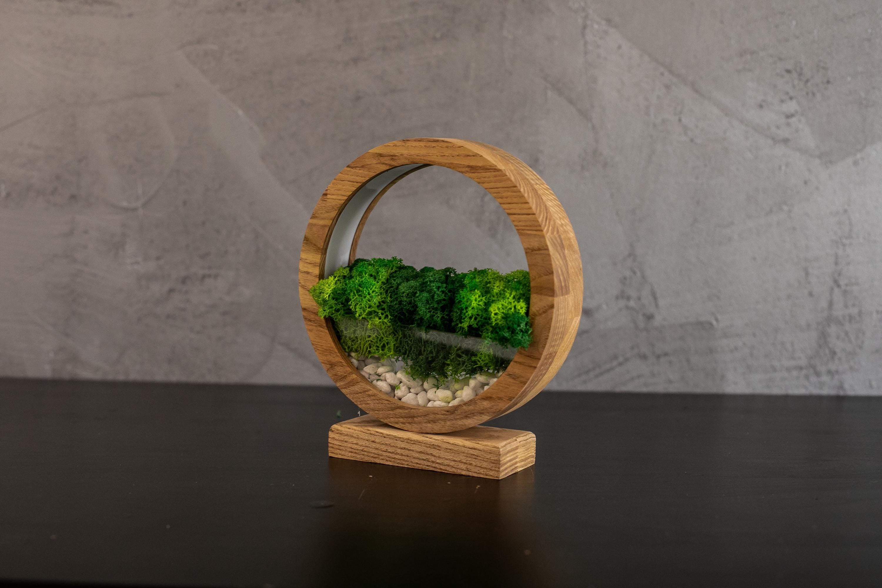 Round Wood Moss Lamp | Botanical Night Light