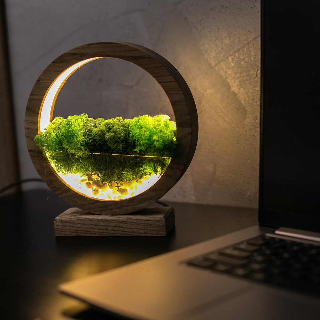 Round Wood Moss Lamp | Botanical Night Light