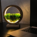 Round Wood Moss Lamp | Botanical Night Light