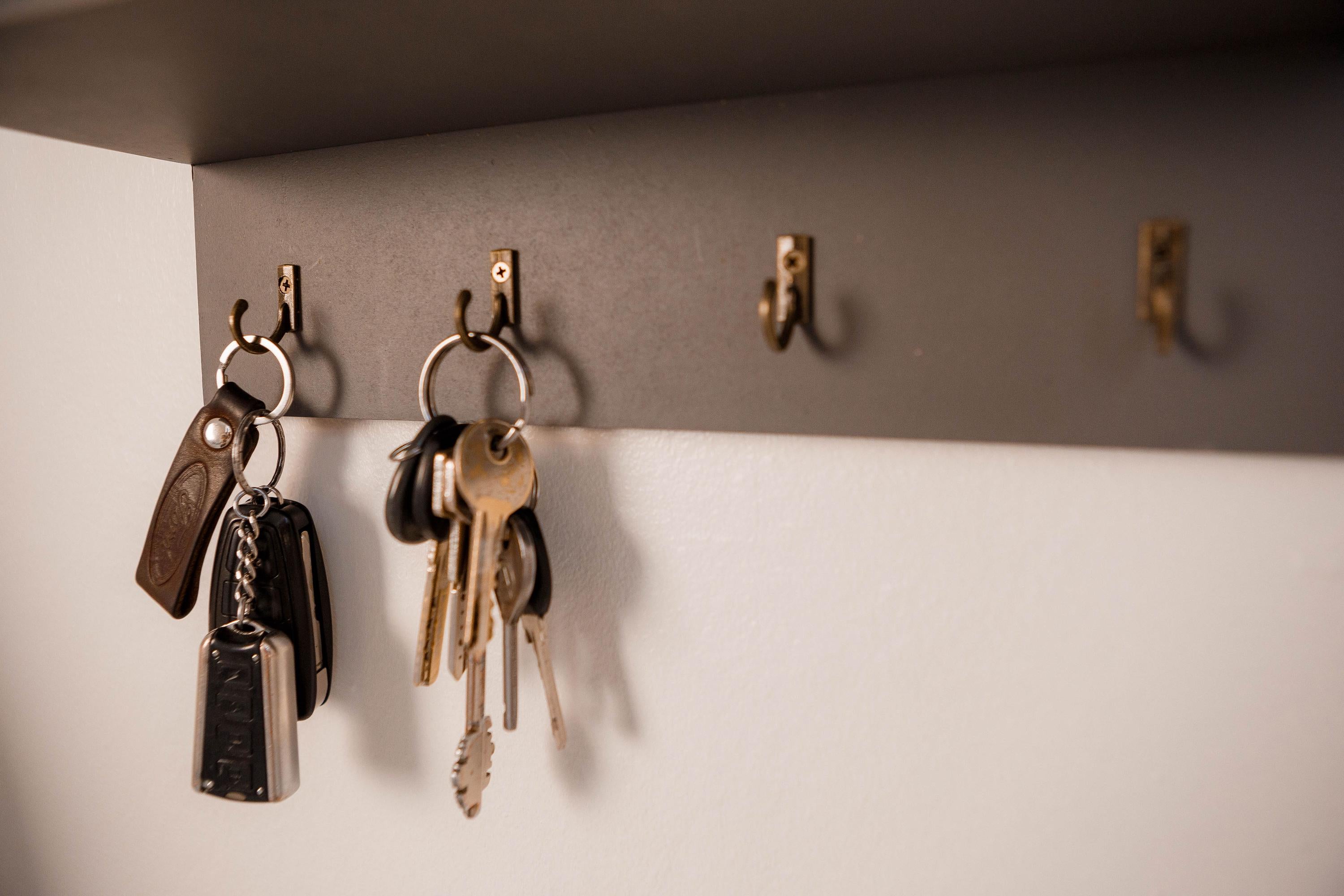 Moss Wall Key Holder with Shelf | Modern Entryway Organizer | Eco Friendly Home Decor