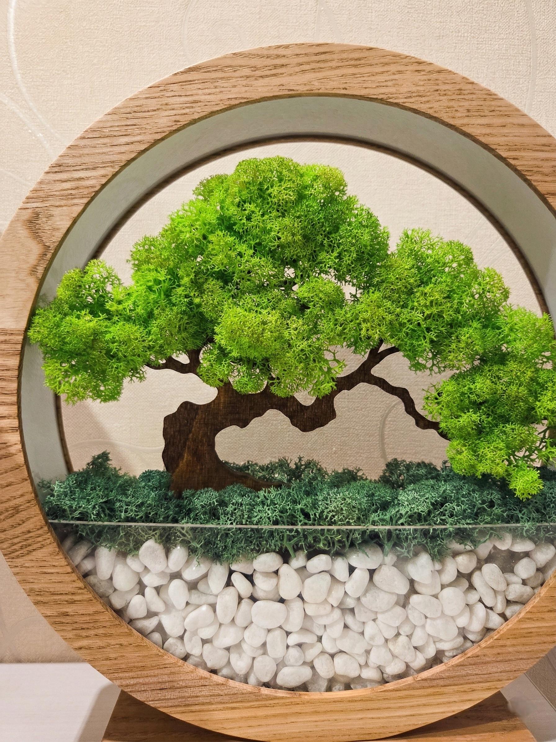 Faux Moss Bonsai Lamp, Zen Garden Tree of Life, Preserved Moss, Japandi Decor Nightlight