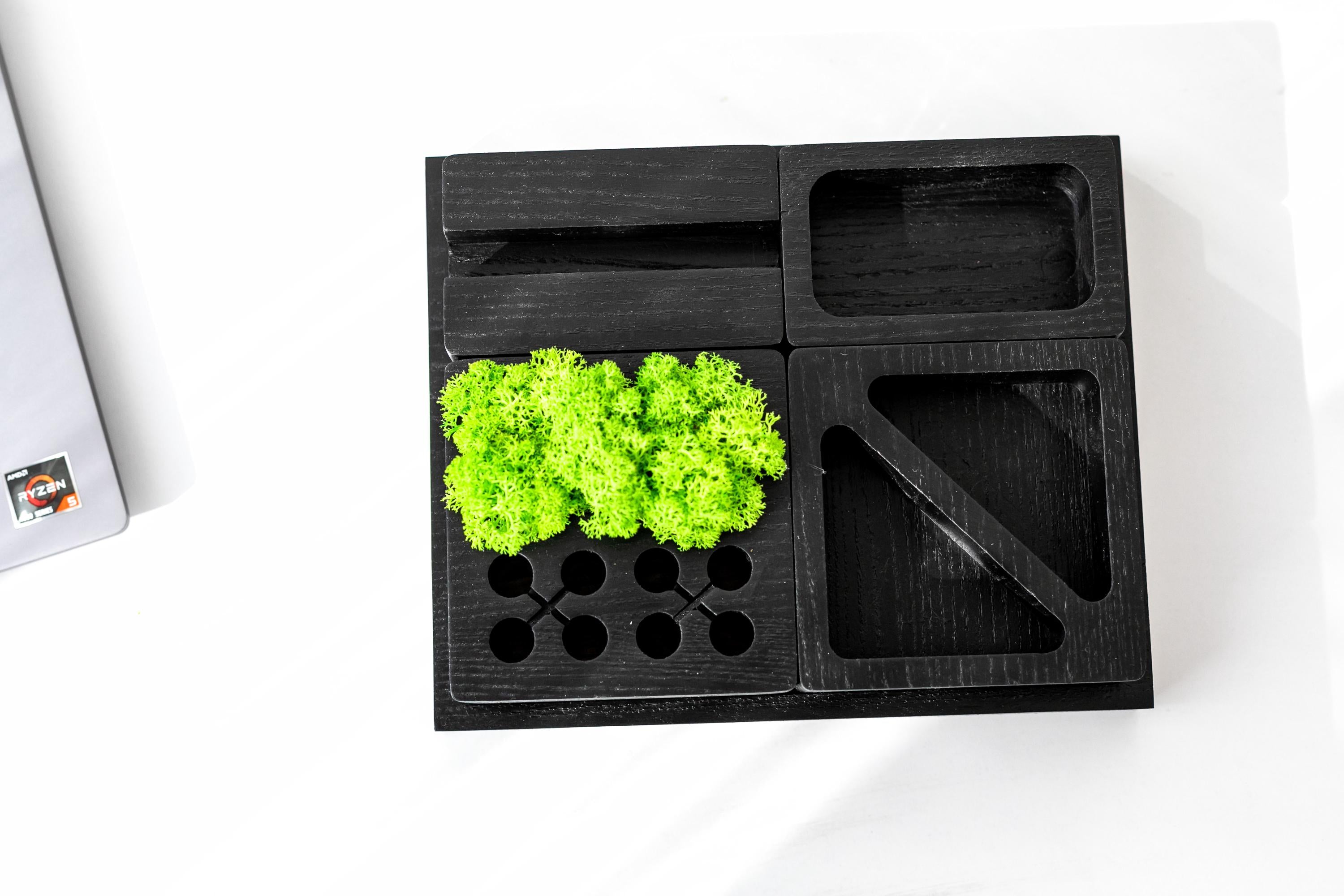 Modular Ash Wood Desk Organizer | Natural Moss Decor