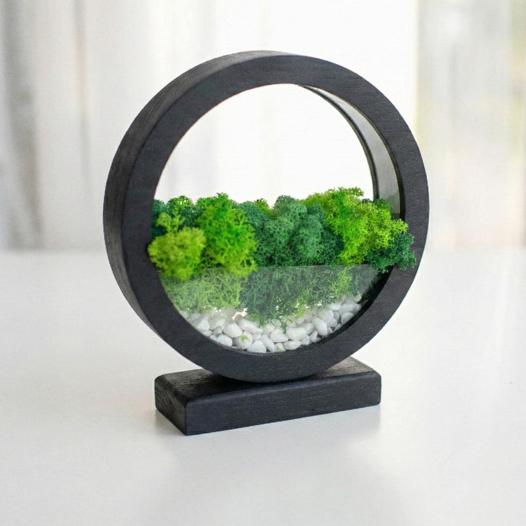 Blue LED Moss Terrarium Lamp | Zen Wood Circle Light