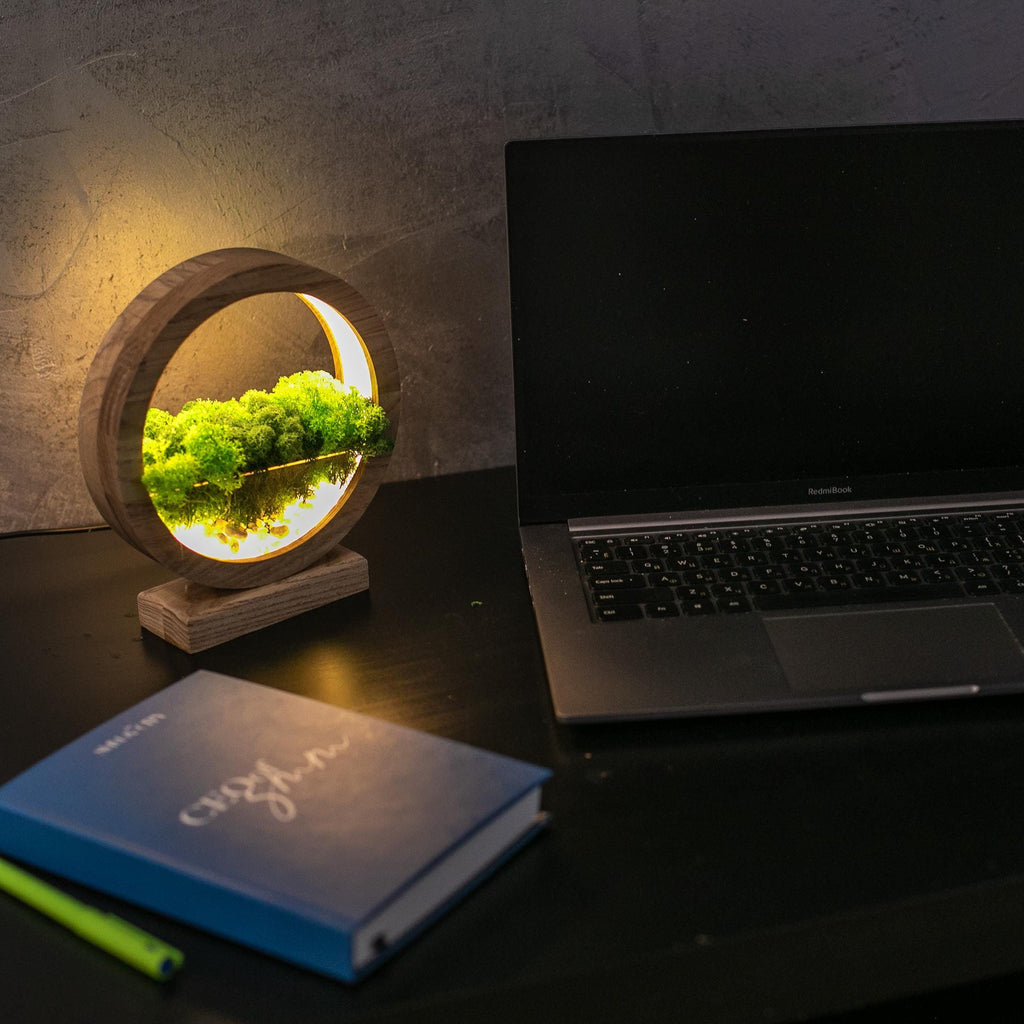 Round Wood Moss Lamp | Botanical Night Light