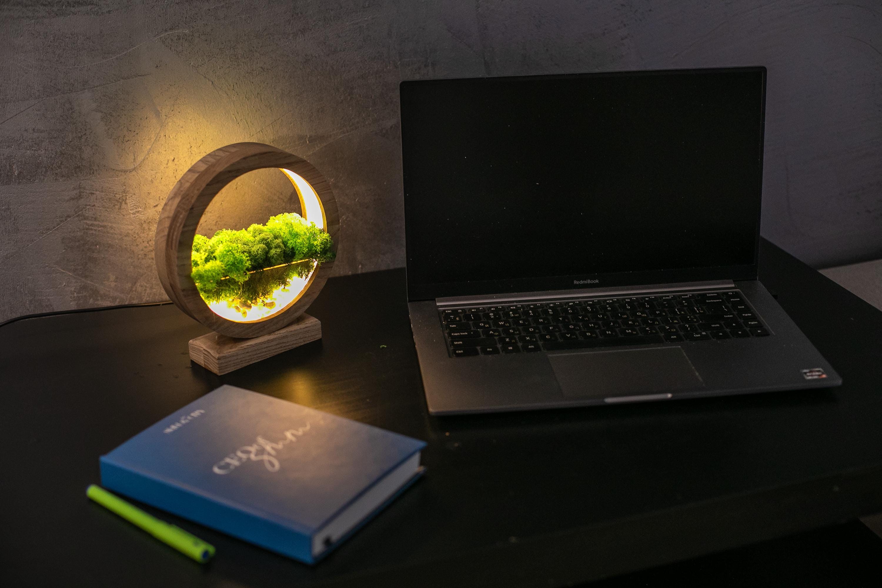 Round Wood Table Lamp with Preserved Moss |  Scandinavian Night Light | Biophilic Decor