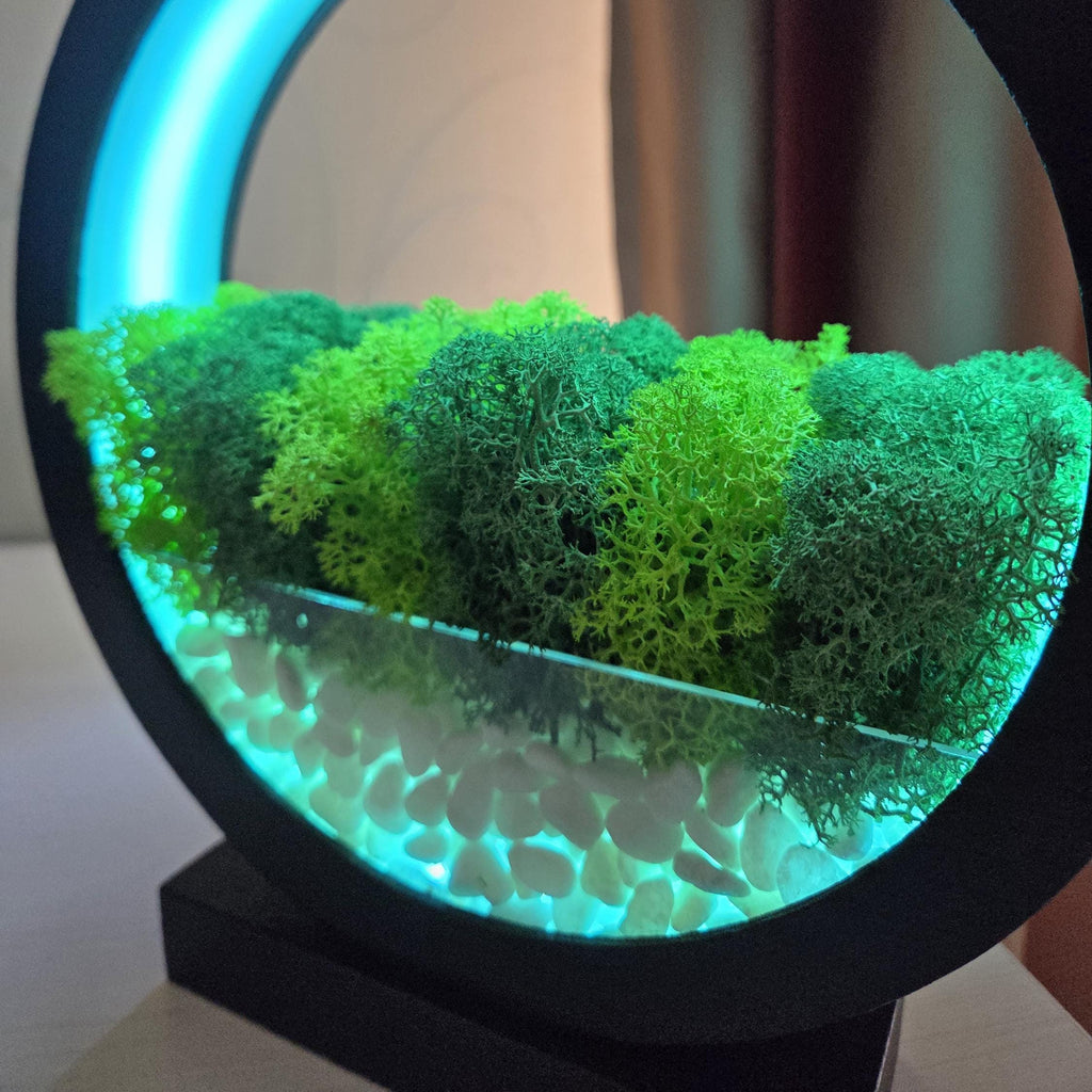 Blue LED Moss Terrarium Lamp | Zen Wood Circle Light