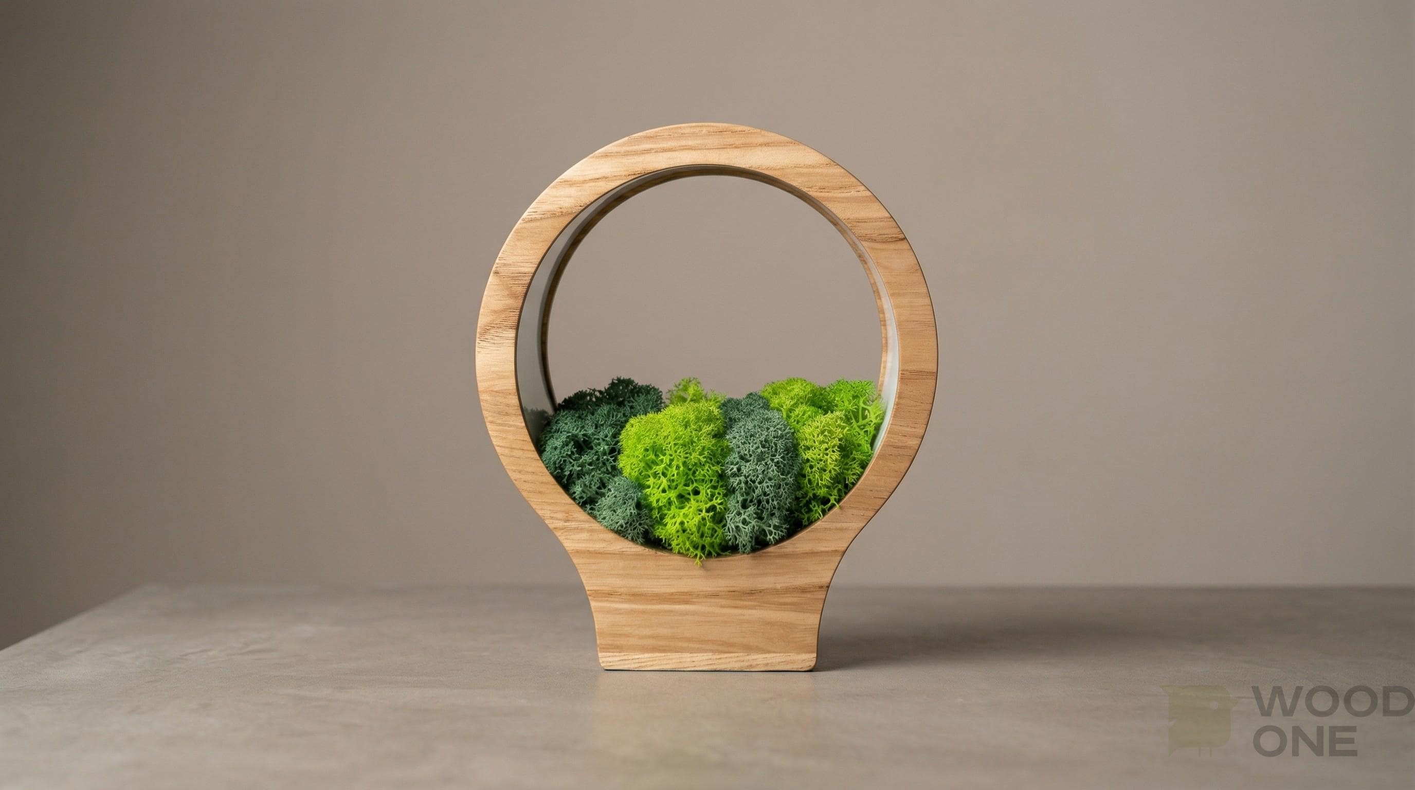 Wooden Moss Night Light | Handmade Terrarium Desk Lamp (USB-C Powered)