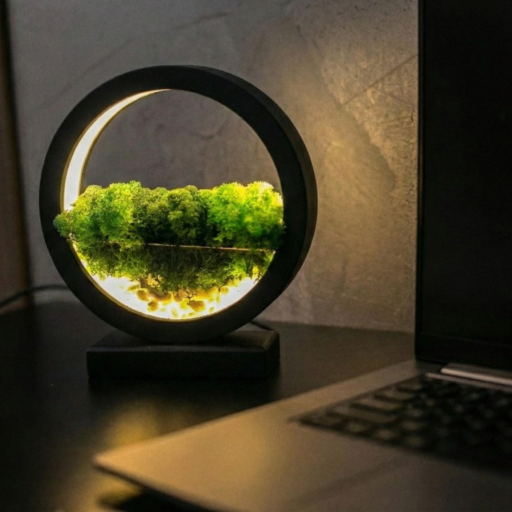 Black Wooden Table Lamp with Preserved Moss