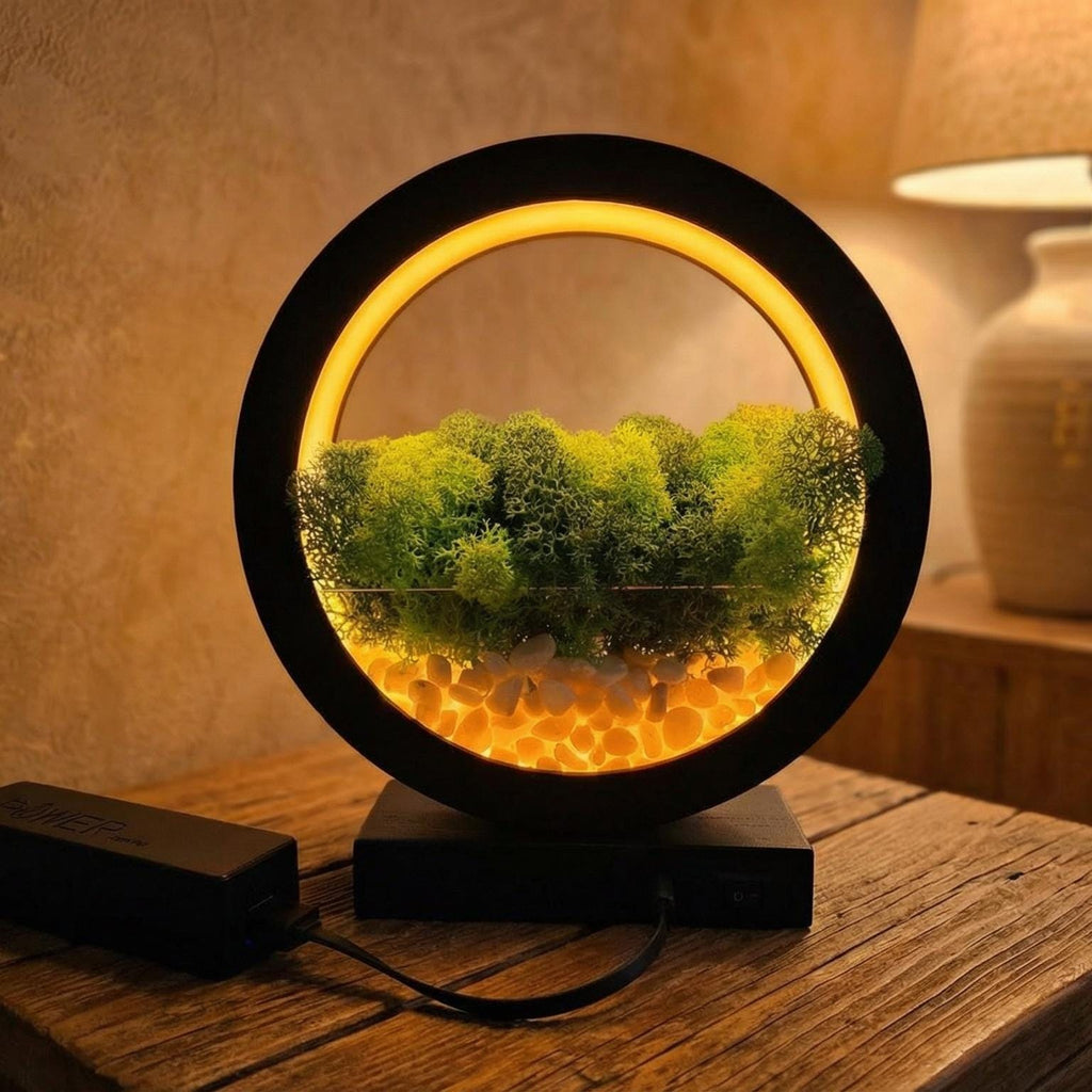 Black Wooden Table Lamp with Preserved Moss