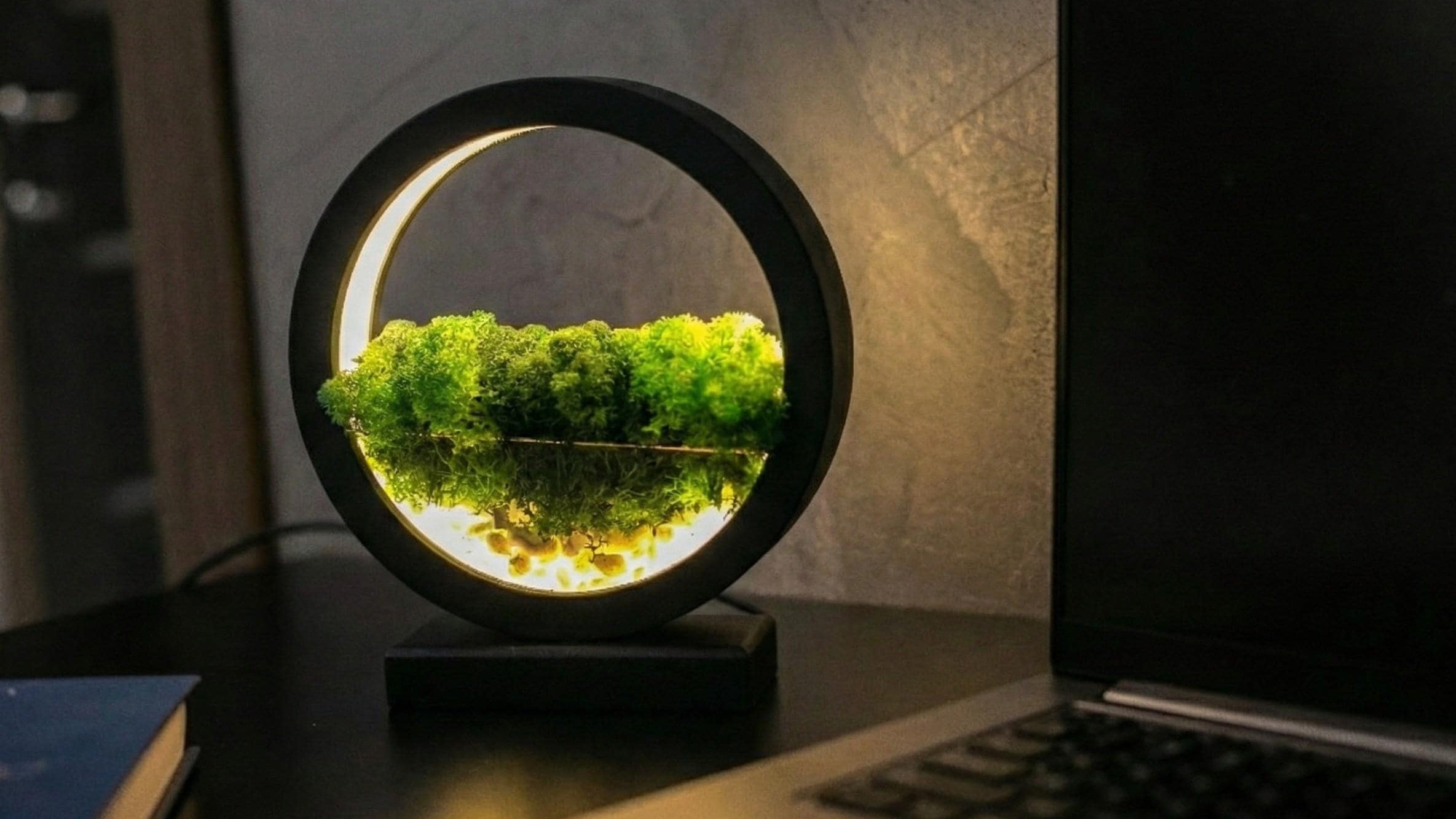 White Wooden Night Light with Moss